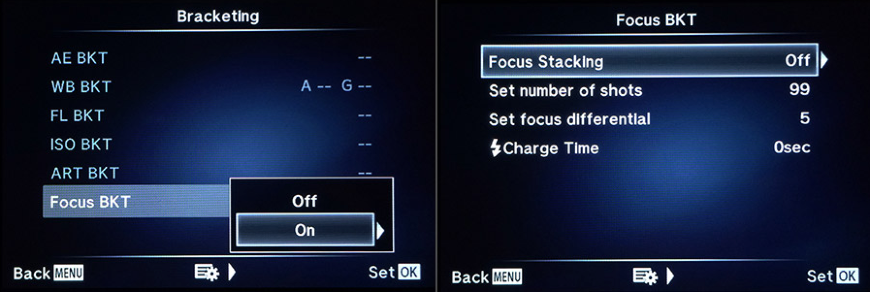 First full review of the new firmwares 4.0 and 2.0 for E-M1 and E-M5 ...